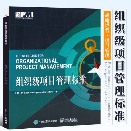 正版组织级项目管理标准 国内企业公司精益生产运作战略运营项目管理